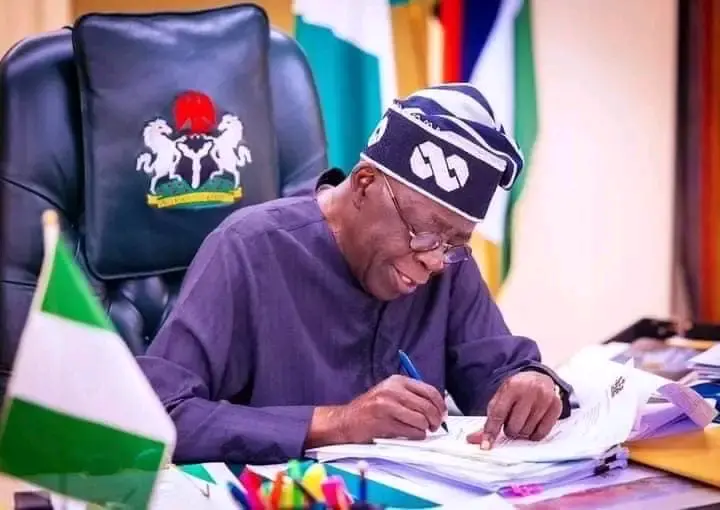 Tinubu seeks unity among African countries