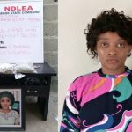 Ex-beauty queen declared wanted for drug offence surrenders to NDLEA