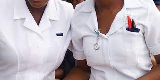 Ondo nurses demand salary parity with doctors