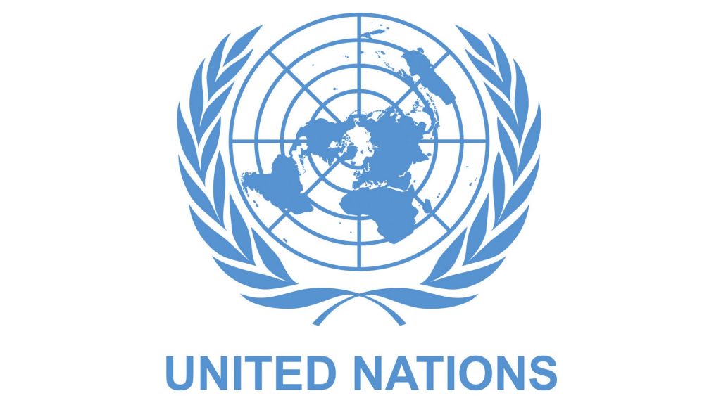 UN pledges urgent support for Borno flood victims