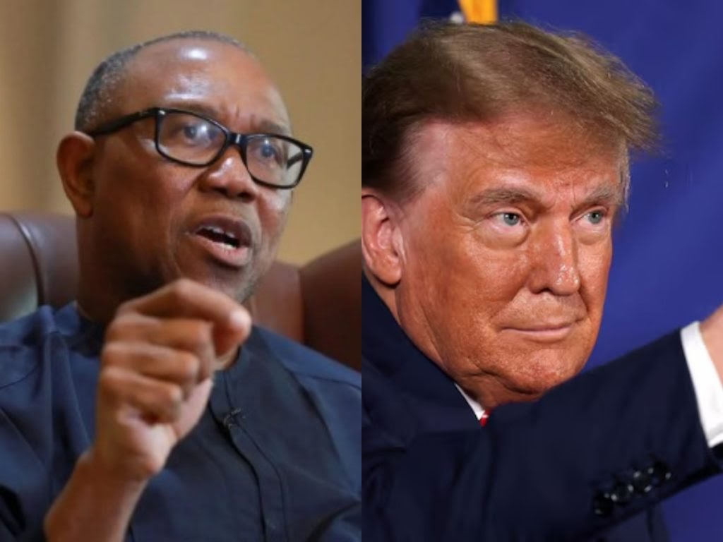 Peter Obi is Nigeria’s Donald Trump – Tinubu’s aide