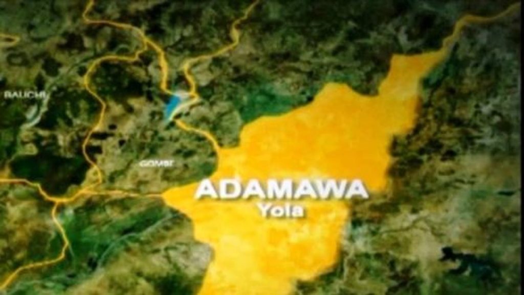 37-year-old woman arrested for torturing toddlers in Adamawa