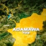 37-year-old woman arrested for torturing toddlers in Adamawa