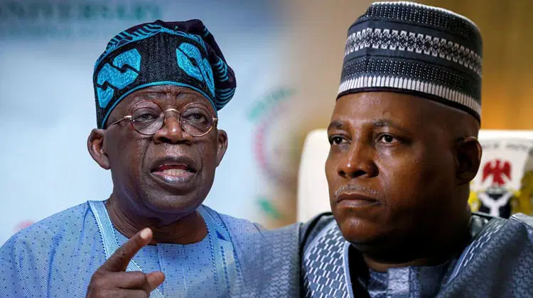 Tinubu, Shettima’s absence: There’s no vacuum in leadership – Presidency