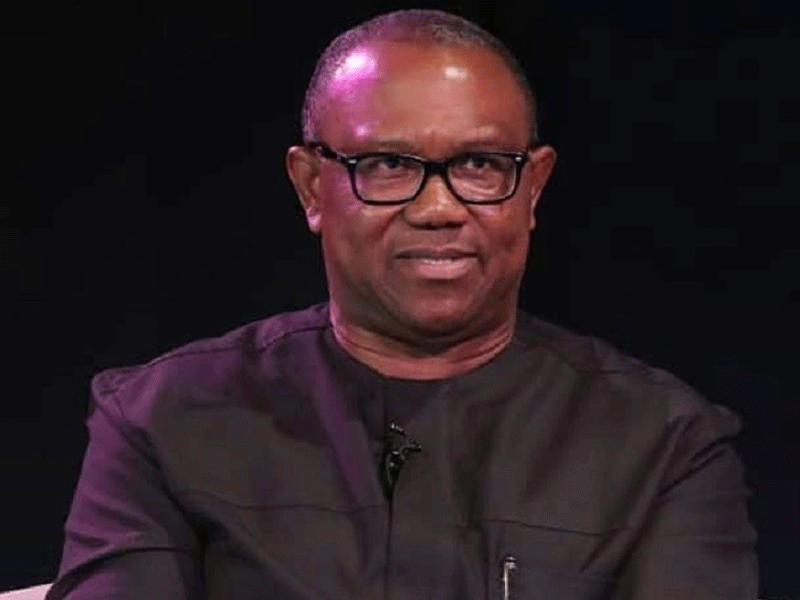 Nigerians now hungry despite rich arable lands – Peter Obi