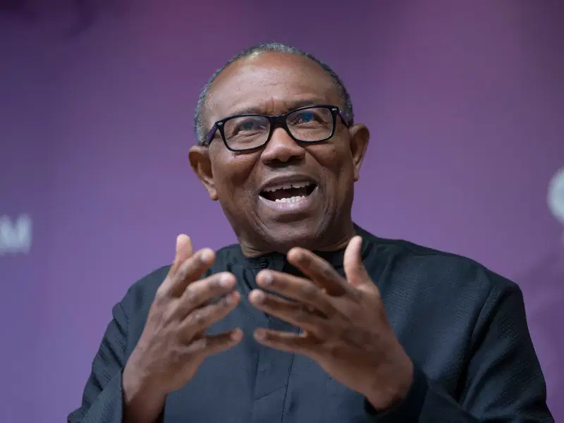 Nigerian democracy suffering, now transitional politics – Peter Obi